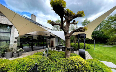 Permit-Free Design Roofs: Why Texstyleroofs® Offer Ultimate Flexibility in Florida