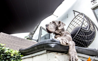 Architectural Shade Solutions: When Design and Engineering Work Together